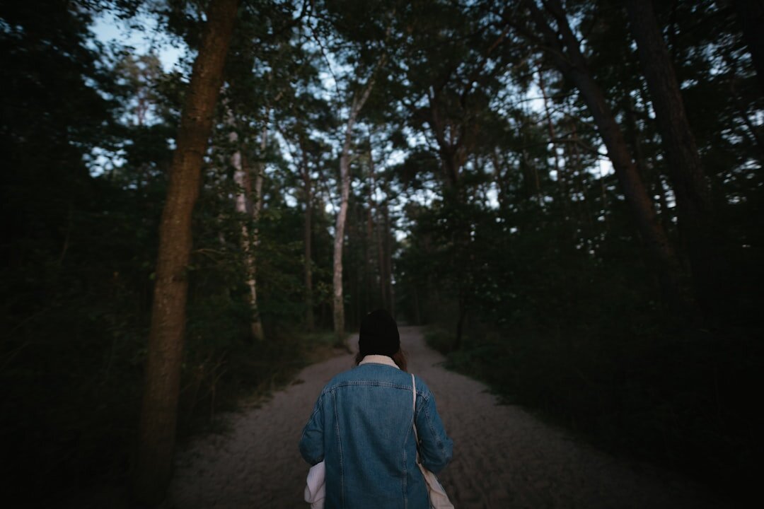 person walking on path in forest